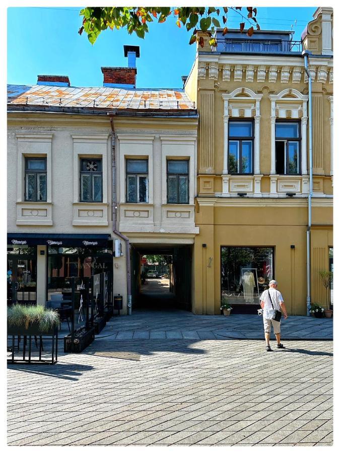 Apartaments In The City Centre Kaunas Exteriér fotografie